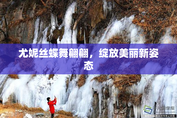 尤妮丝蝶舞翩翩，绽放美丽新姿态