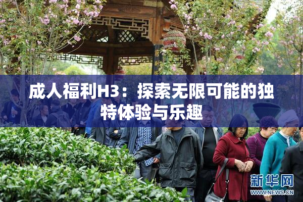 成人福利H3：探索无限可能的独特体验与乐趣