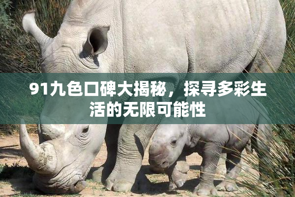 91九色口碑大揭秘，探寻多彩生活的无限可能性