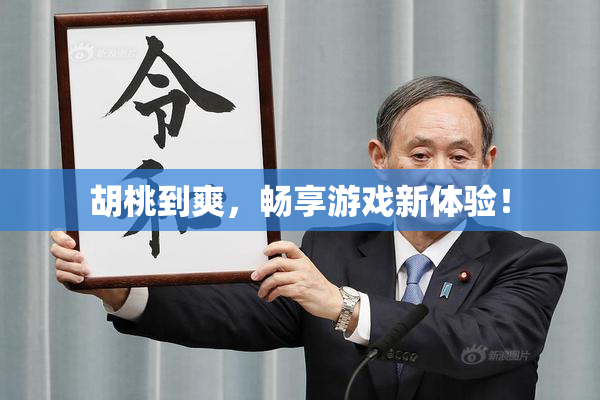 胡桃到爽，畅享游戏新体验！