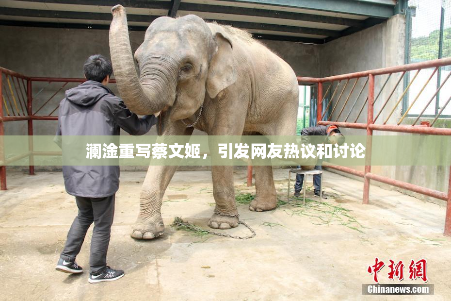 澜淦重写蔡文姬，引发网友热议和讨论