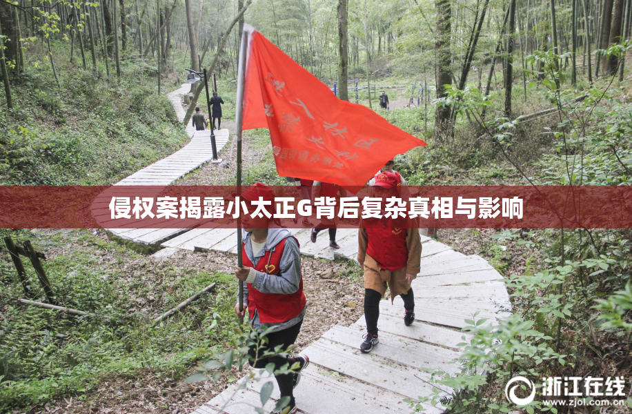 侵权案揭露小太正G背后复杂真相与影响