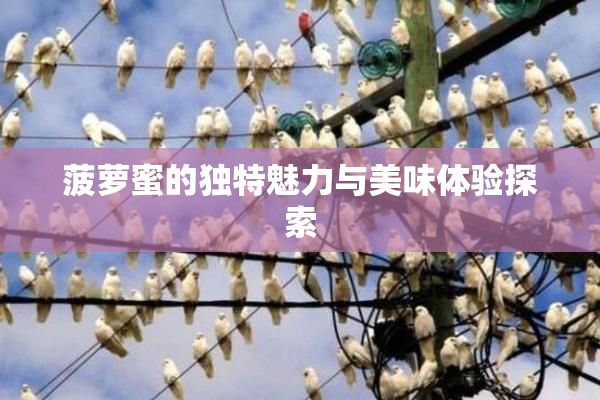 菠萝蜜的独特魅力与美味体验探索