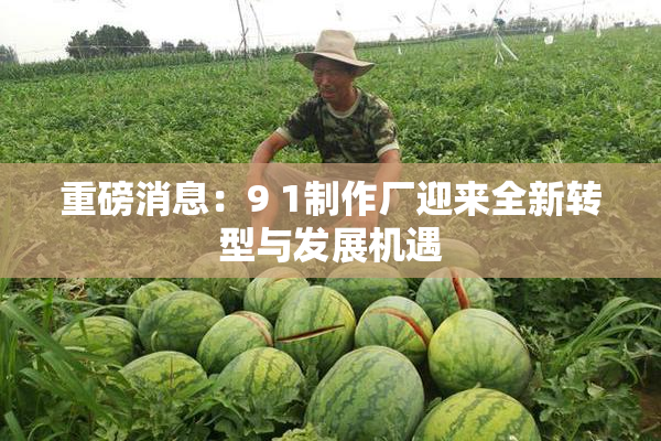 重磅消息：9 1制作厂迎来全新转型与发展机遇