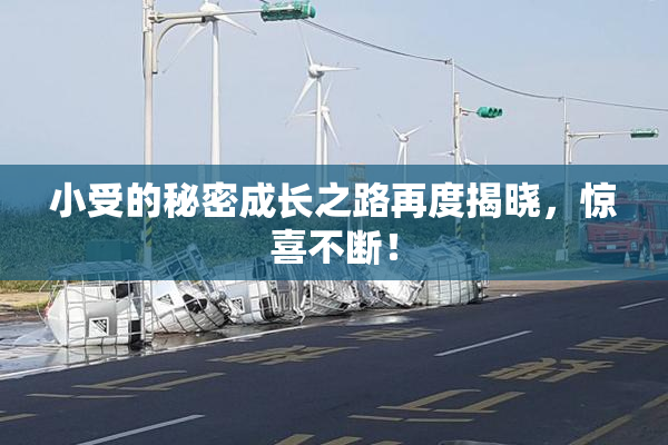 小受的秘密成长之路再度揭晓，惊喜不断！