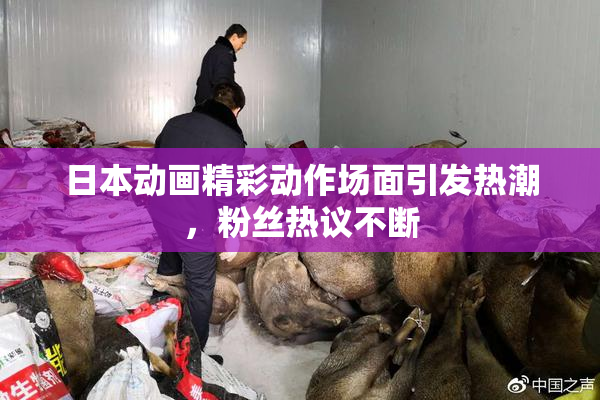 日本动画精彩动作场面引发热潮，粉丝热议不断