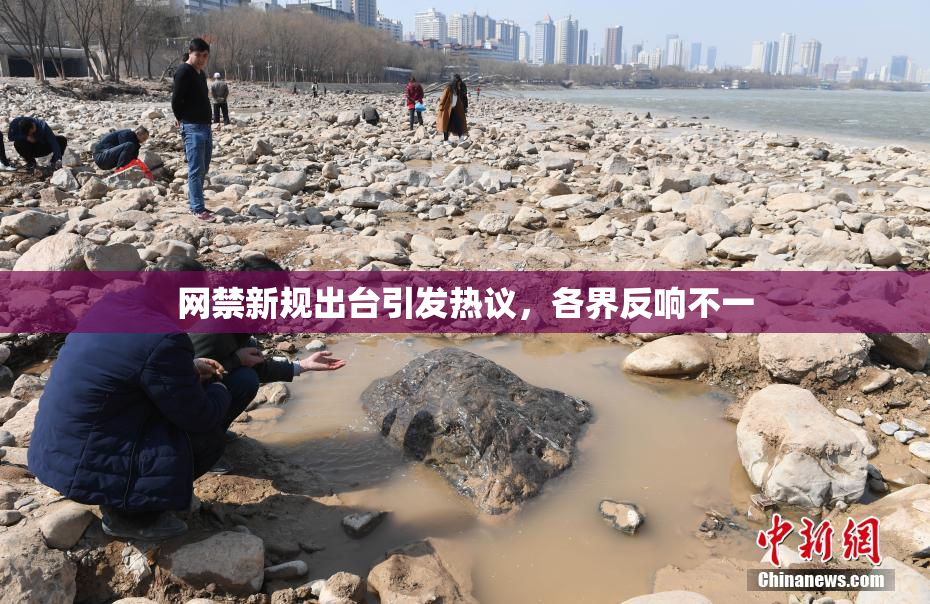 网禁新规出台引发热议，各界反响不一