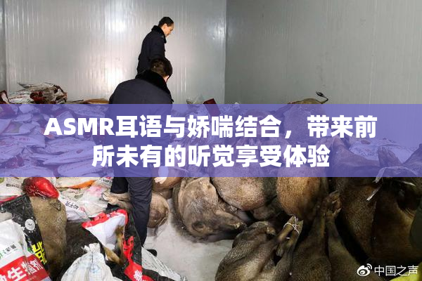 ASMR耳语与娇喘结合，带来前所未有的听觉享受体验