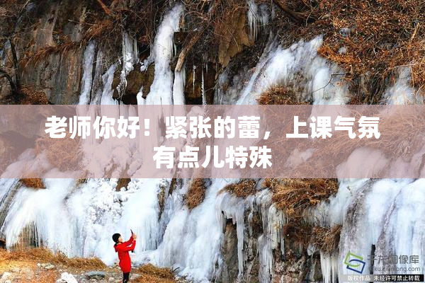 老师你好！紧张的蕾，上课气氛有点儿特殊