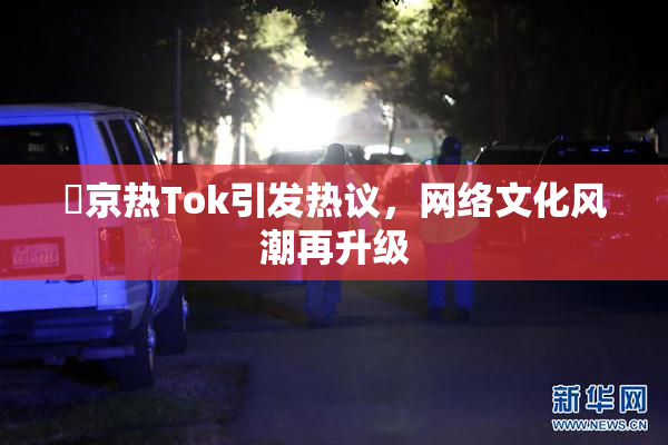 東京热Tok引发热议，网络文化风潮再升级