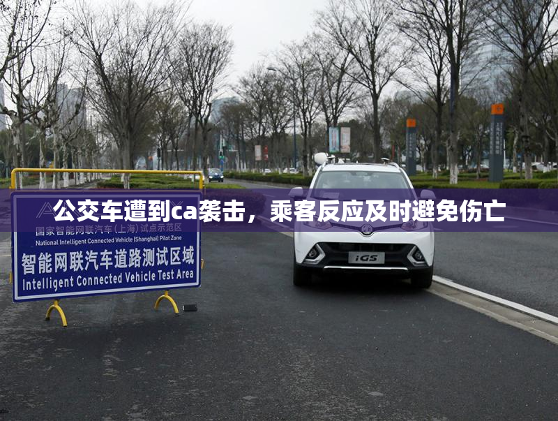 公交车遭到ca袭击，乘客反应及时避免伤亡
