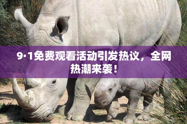 9·1免费观看活动引发热议，全网热潮来袭！