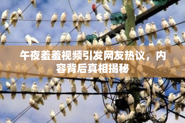 午夜羞羞视频引发网友热议，内容背后真相揭秘