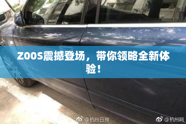 Z00S震撼登场，带你领略全新体验！