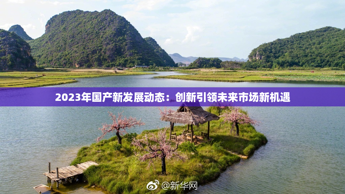 2023年国产新发展动态：创新引领未来市场新机遇