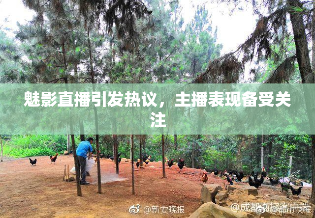 魅影直播引发热议，主播表现备受关注