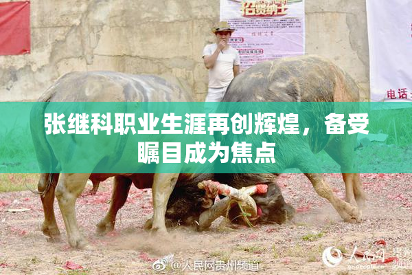 张继科职业生涯再创辉煌，备受瞩目成为焦点