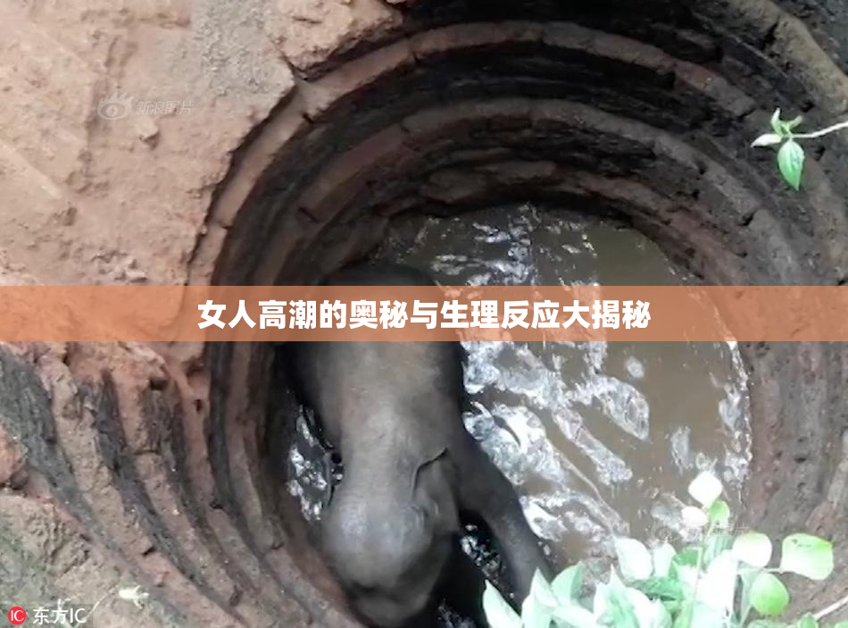 女人高潮的奥秘与生理反应大揭秘