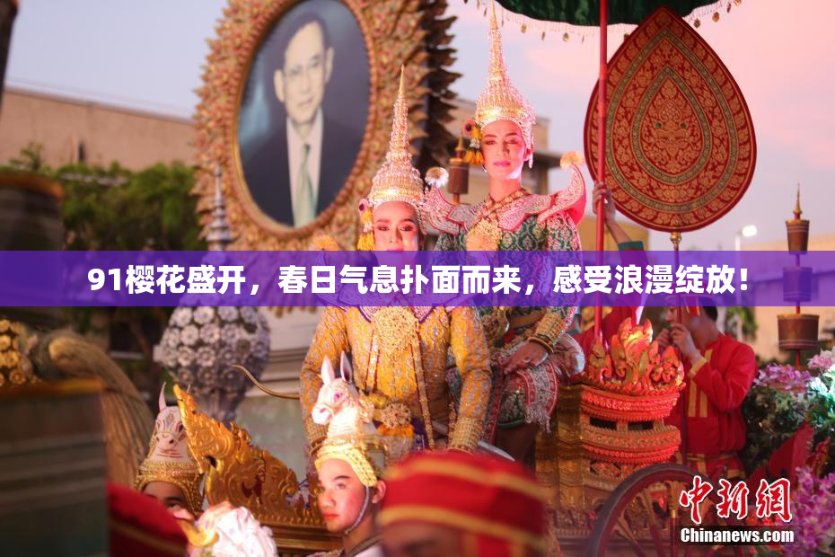 91樱花盛开，春日气息扑面而来，感受浪漫绽放！