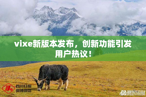 vixe新版本发布，创新功能引发用户热议！