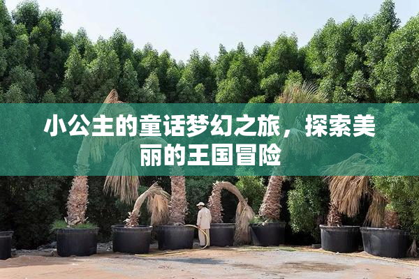 小公主的童话梦幻之旅，探索美丽的王国冒险