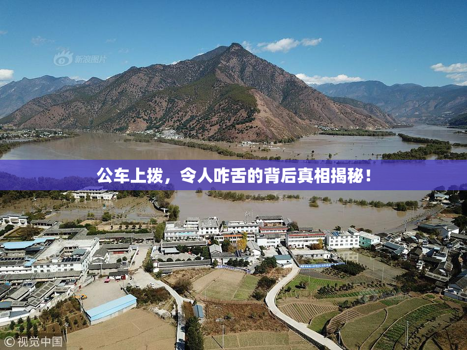 公车上拨，令人咋舌的背后真相揭秘！