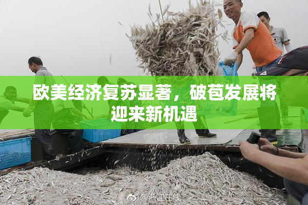 欧美经济复苏显著，破苞发展将迎来新机遇