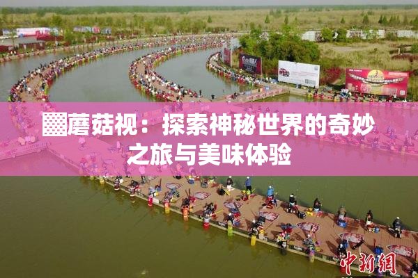 ▓蘑菇视：探索神秘世界的奇妙之旅与美味体验