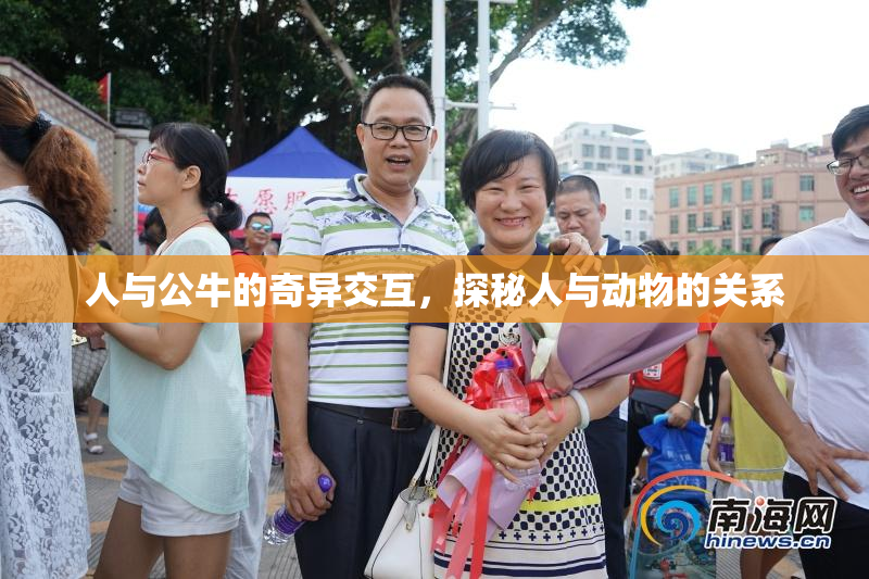 人与公牛的奇异交互，探秘人与动物的关系