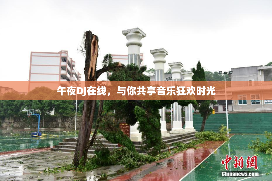 午夜DJ在线，与你共享音乐狂欢时光