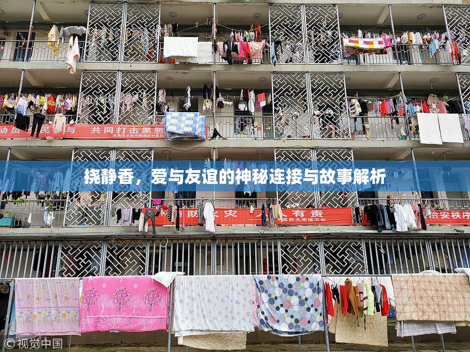 挠静香，爱与友谊的神秘连接与故事解析