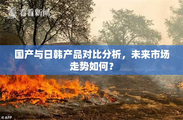 国产与日韩产品对比分析，未来市场走势如何？