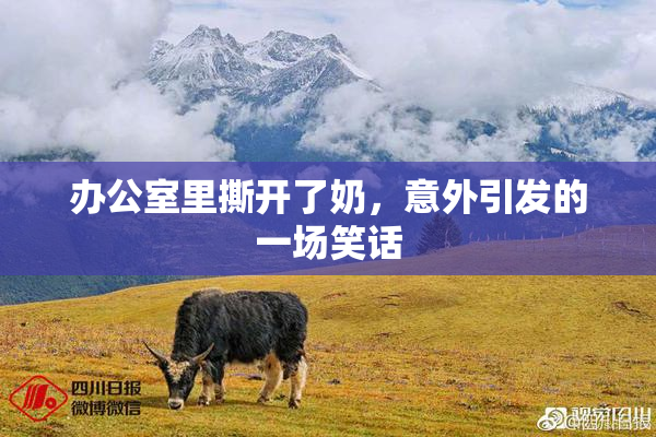 办公室里撕开了奶，意外引发的一场笑话
