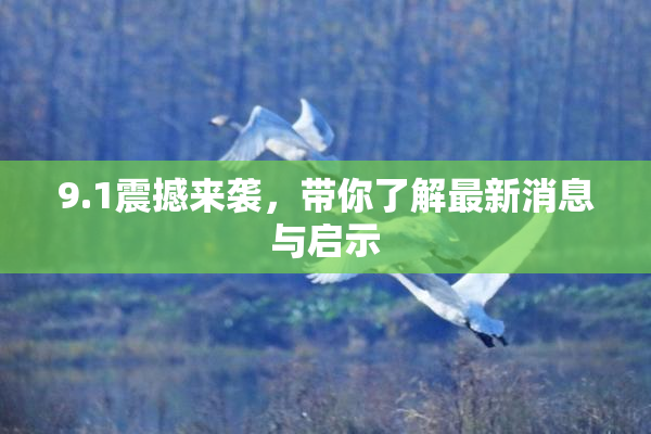 9.1震撼来袭，带你了解最新消息与启示