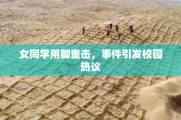 女同学用脚重击，事件引发校园热议