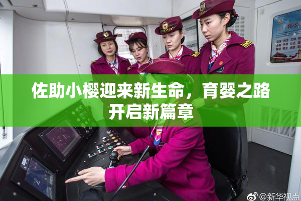 佐助小樱迎来新生命，育婴之路开启新篇章