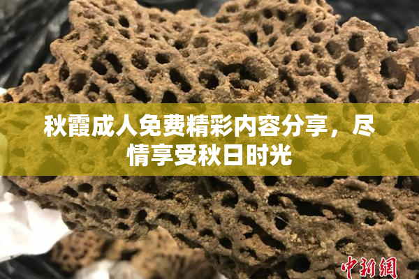 秋霞成人免费精彩内容分享，尽情享受秋日时光