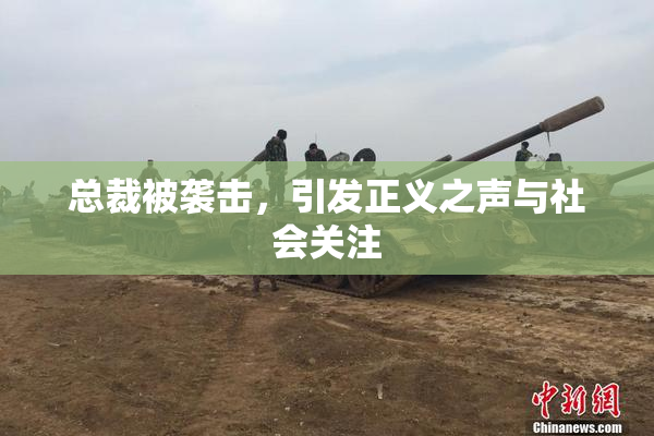 总裁被袭击，引发正义之声与社会关注