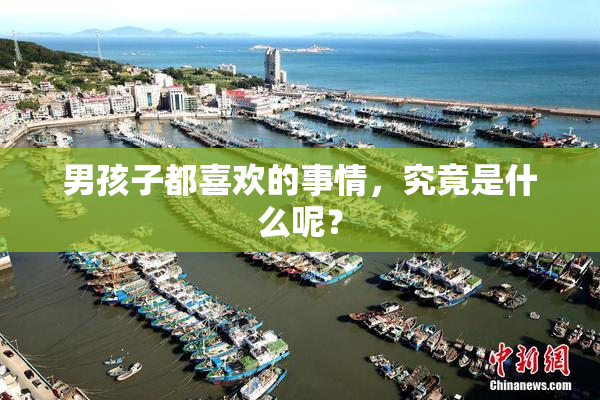 男孩子都喜欢的事情，究竟是什么呢？