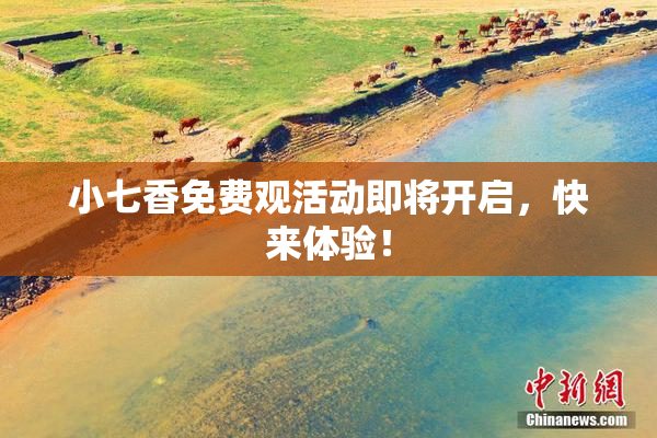 小七香免费观活动即将开启，快来体验！