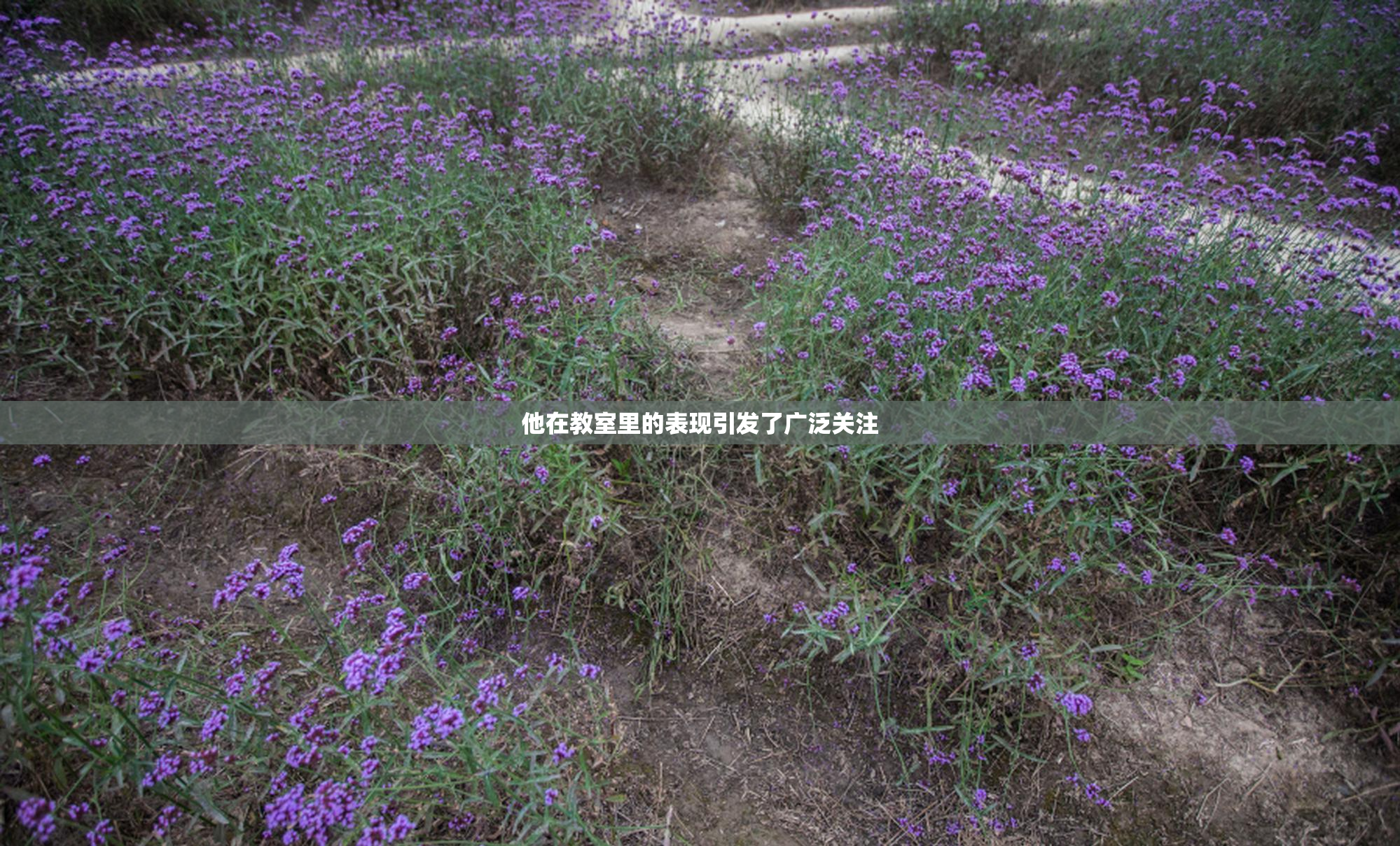 他在教室里的表现引发了广泛关注