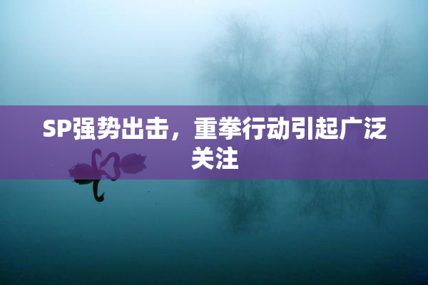SP强势出击，重拳行动引起广泛关注