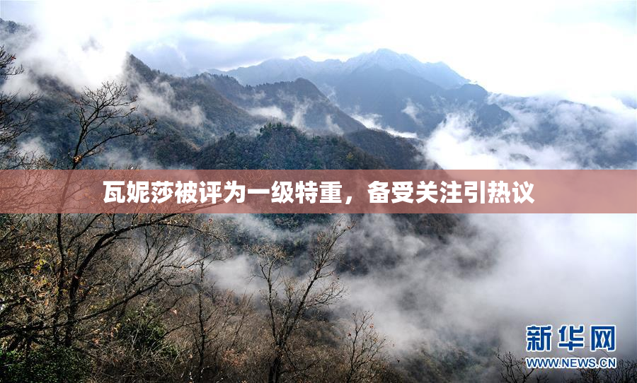 瓦妮莎被评为一级特重，备受关注引热议