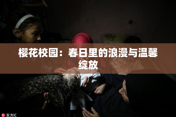 樱花校园：春日里的浪漫与温馨绽放
