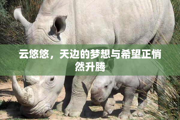 云悠悠，天边的梦想与希望正悄然升腾
