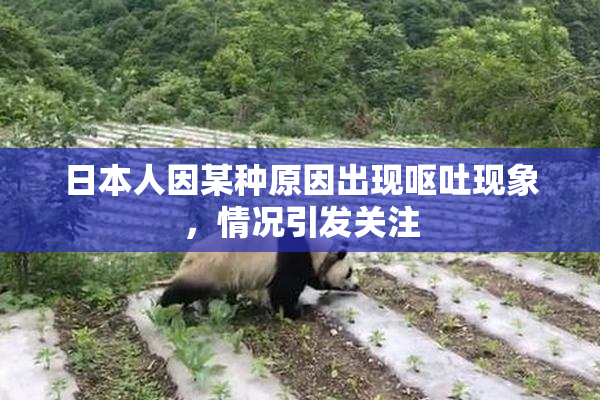 日本人因某种原因出现呕吐现象，情况引发关注