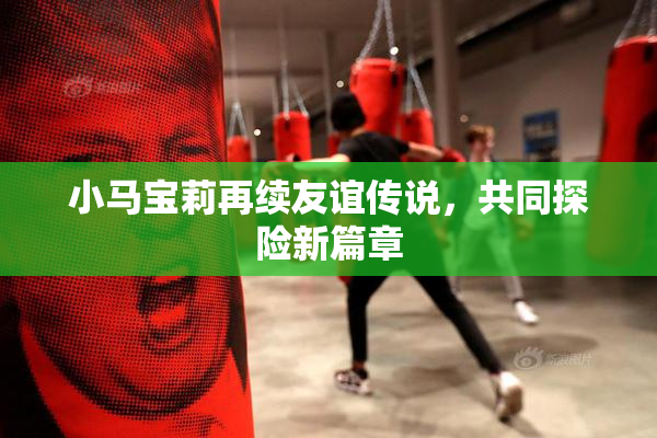 小马宝莉再续友谊传说，共同探险新篇章