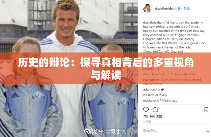 历史的辩论：探寻真相背后的多重视角与解读