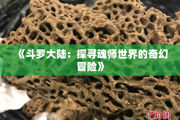 《斗罗大陆：探寻魂师世界的奇幻冒险》