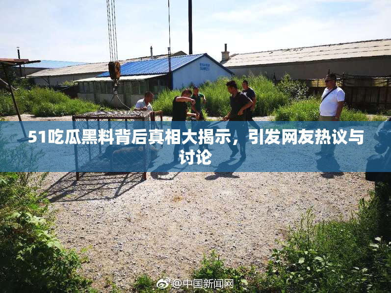 51吃瓜黑料背后真相大揭示，引发网友热议与讨论